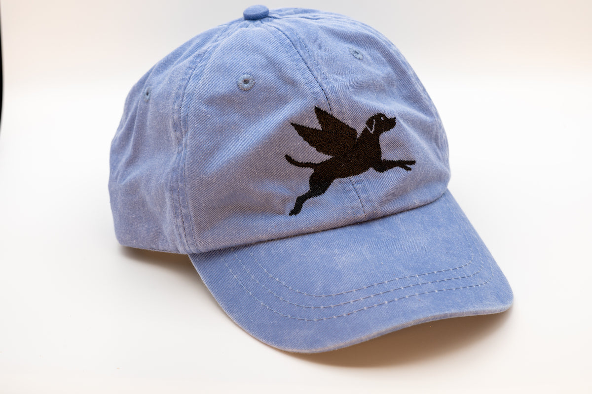 Flying Finley Hat