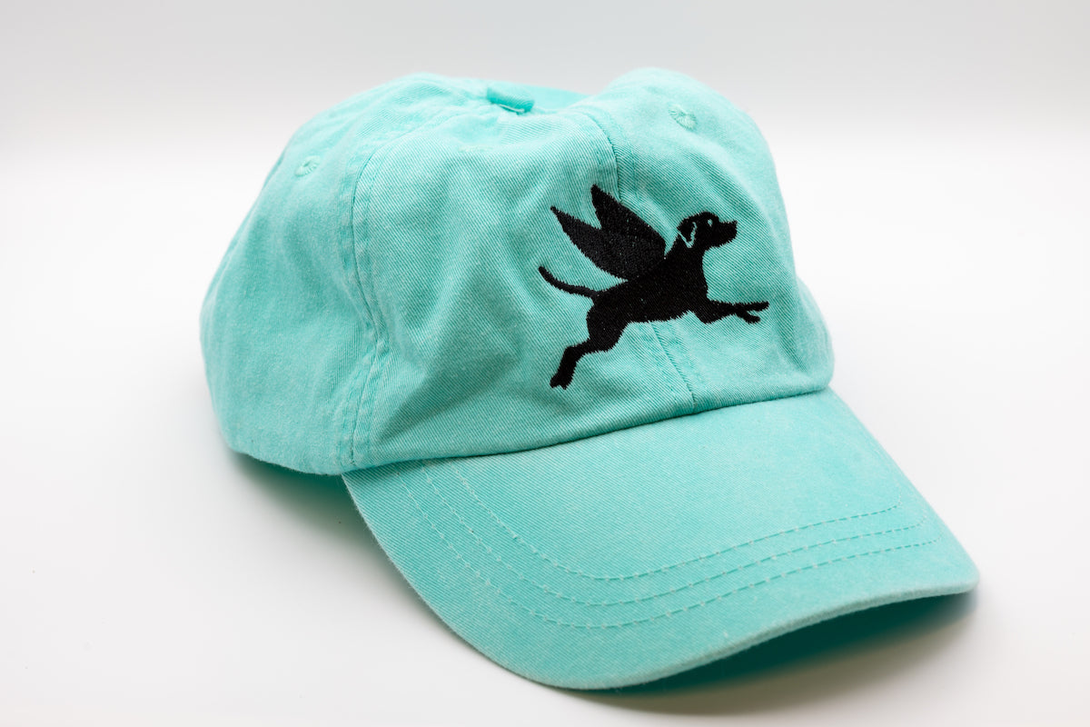 Flying Finley Hat