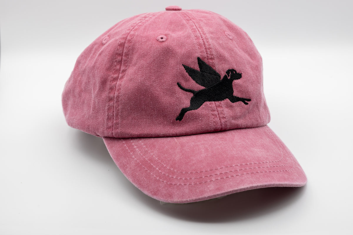 Flying Finley Hat