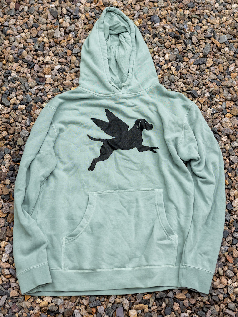 Flying Finley Hoodie