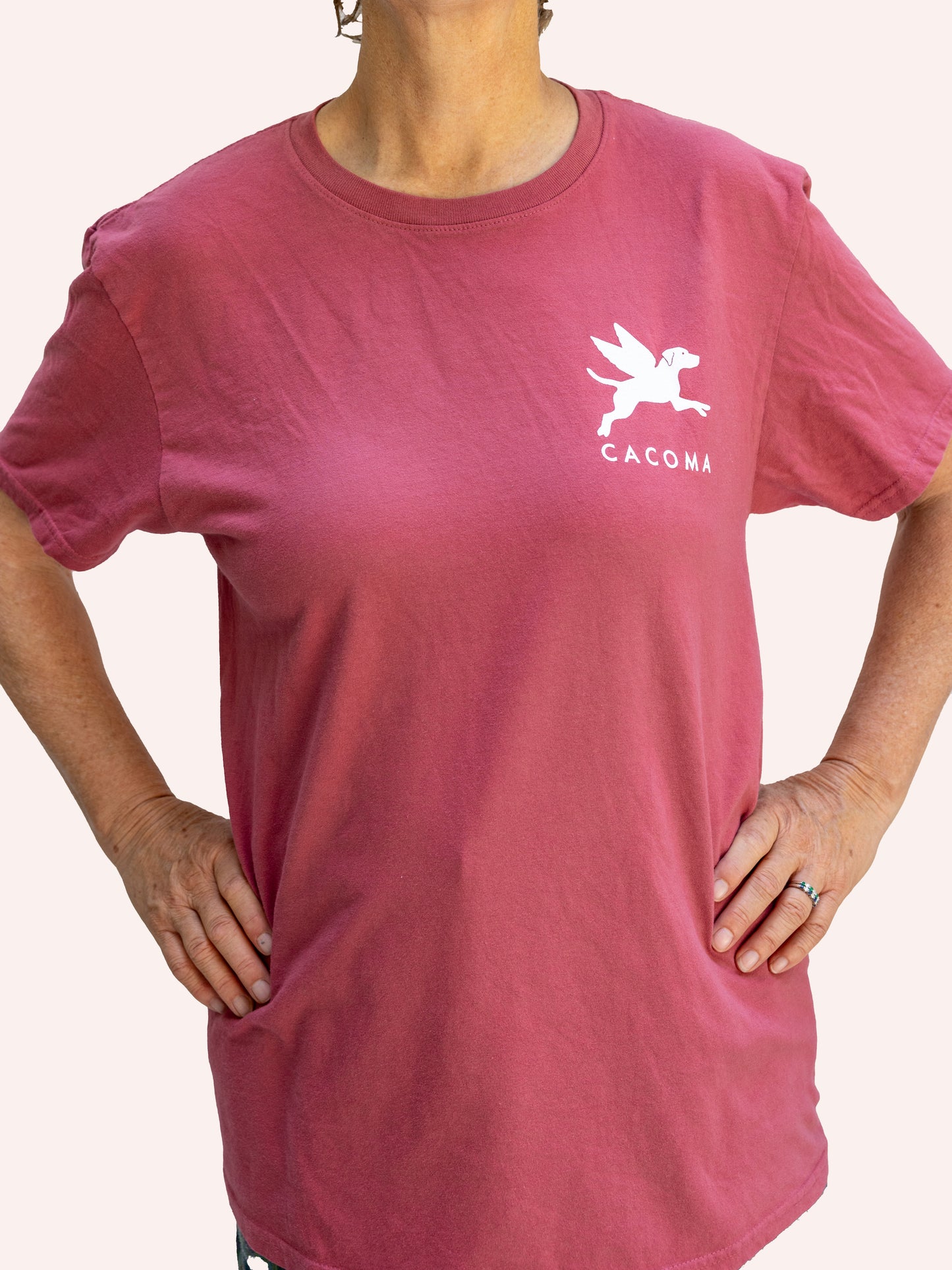 Flying Finley Short Sleeve Tee