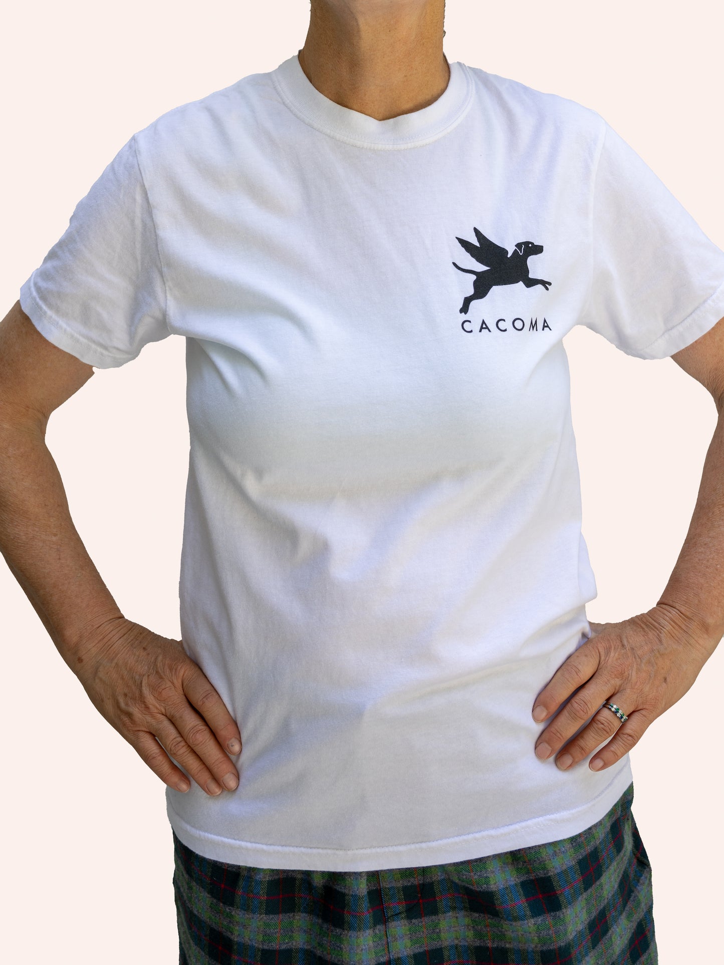 Flying Finley Short Sleeve Tee