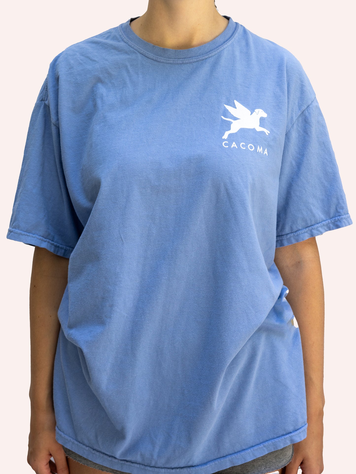 Flying Finley Short Sleeve Tee
