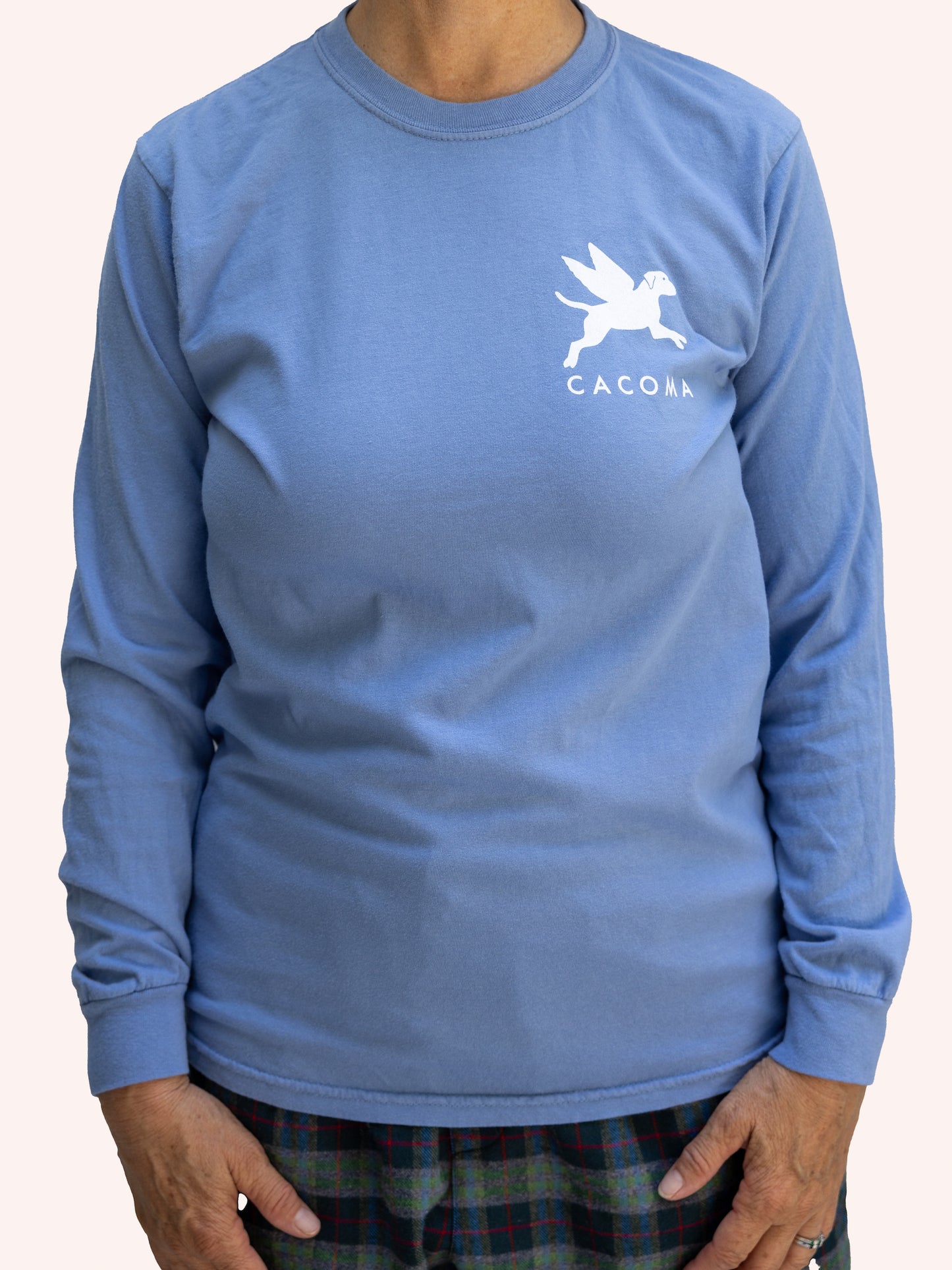 Flying Finley Long Sleeve Tee