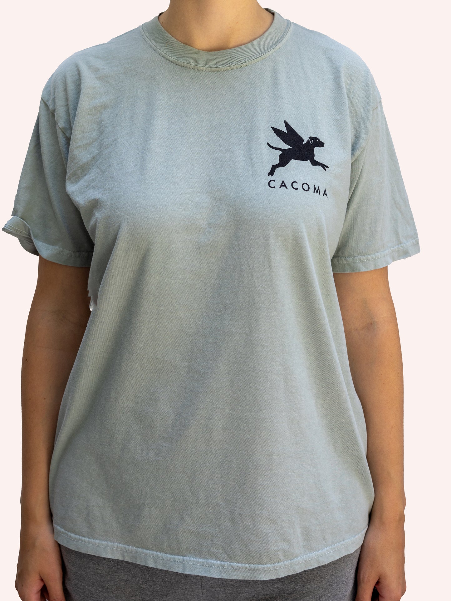 Flying Finley Short Sleeve Tee