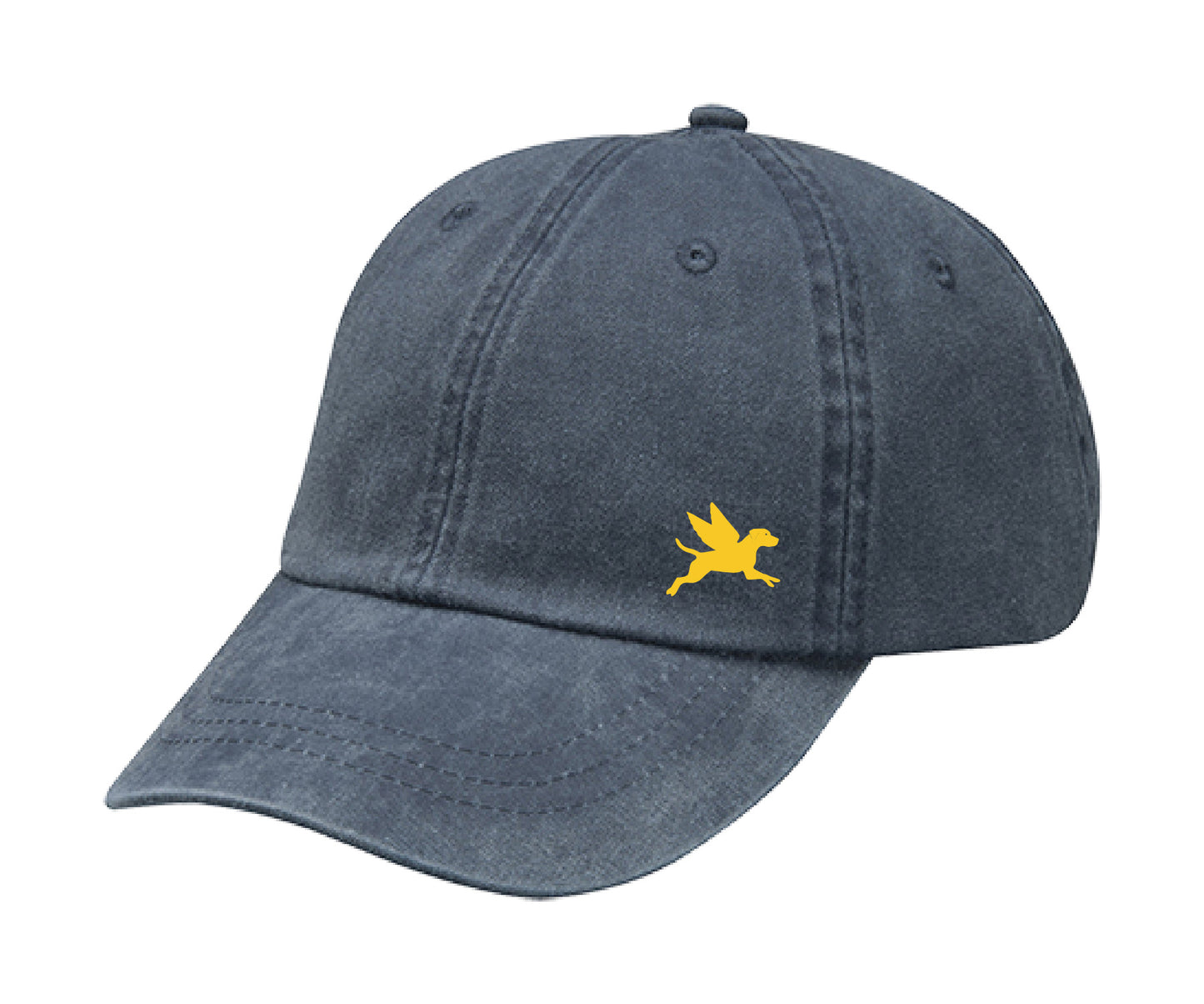 Bayside Flying Finley Hat