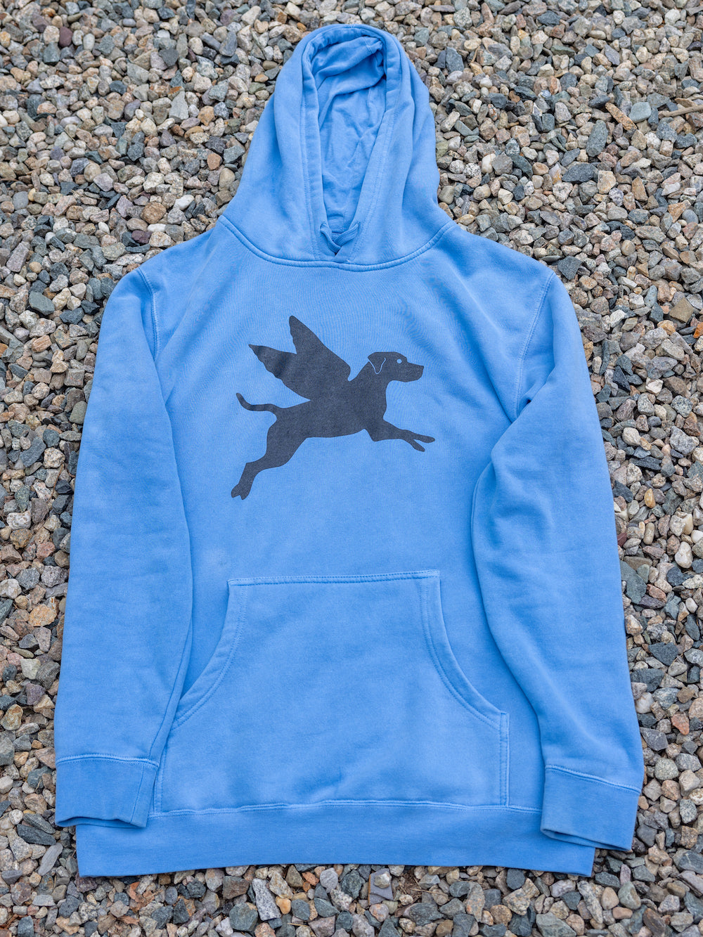 Flying Finley Hoodie