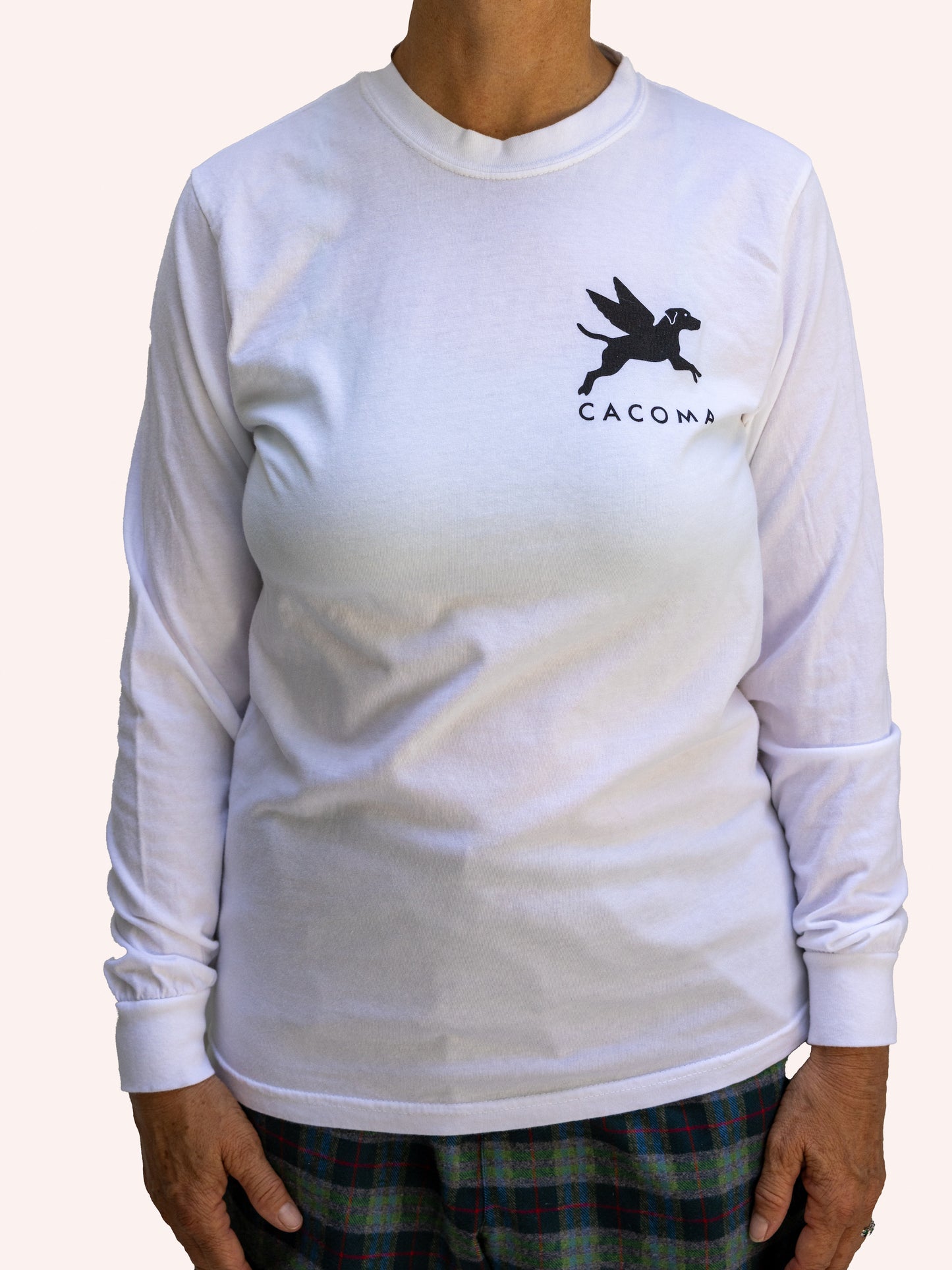 Flying Finley Long Sleeve Tee
