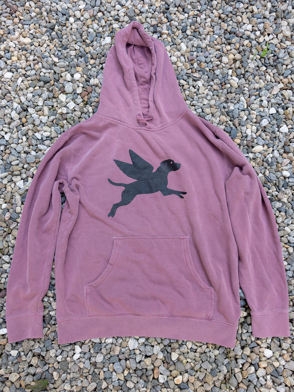 Flying Finley Hoodie
