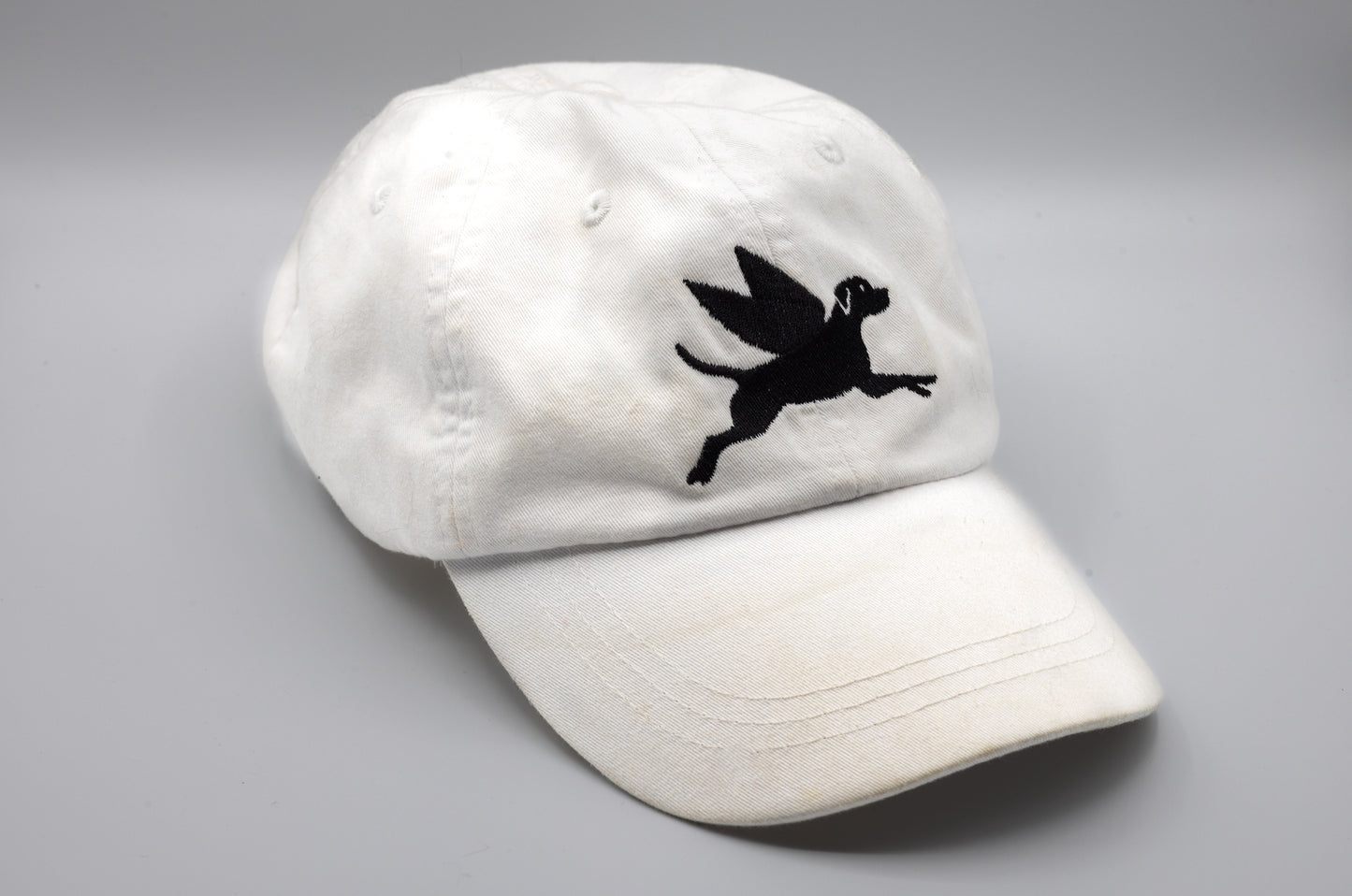 Flying Finley Hat