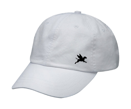 Bayside Flying Finley Hat